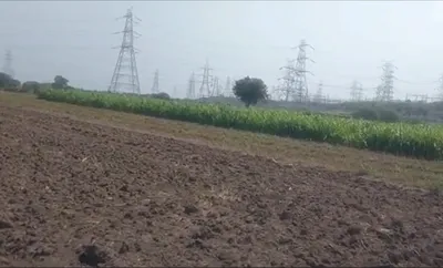 JWF5+C8G, Indore, Asrawad Khurd, Madhya Pradesh 452020, India preview 2