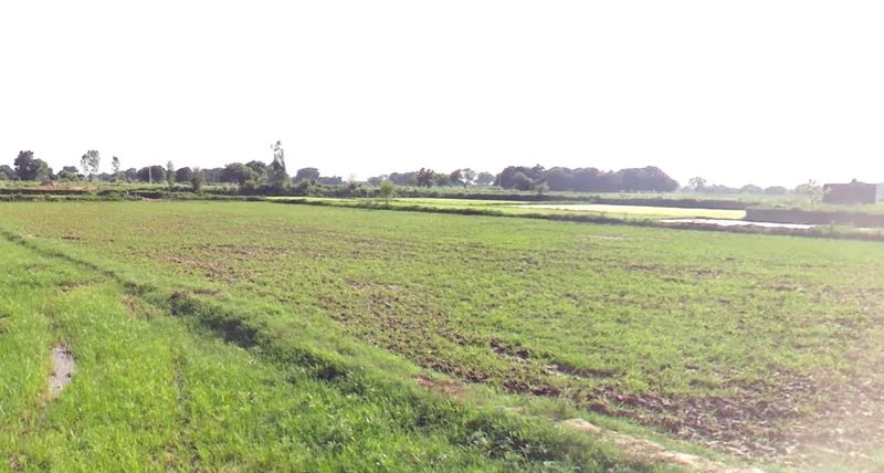 Barkheda Salam, Madhya Pradesh 462030, India preview 3