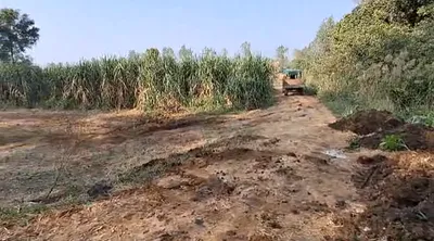 Mozamabad-Jwalagarh, Uttar Pradesh, India preview 2