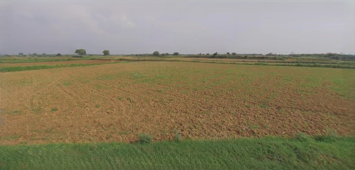 Sonipat, Haryana, India