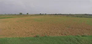 Sonipat, Haryana, India preview 2