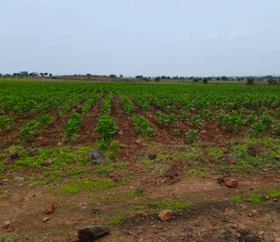 Daboh, Bhind, Madhya Pradesh 477447, India preview 2