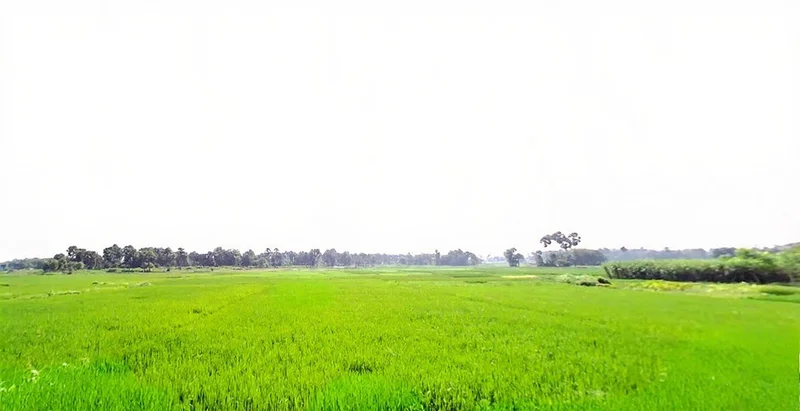 Jhirwa, Bihar, India preview 2