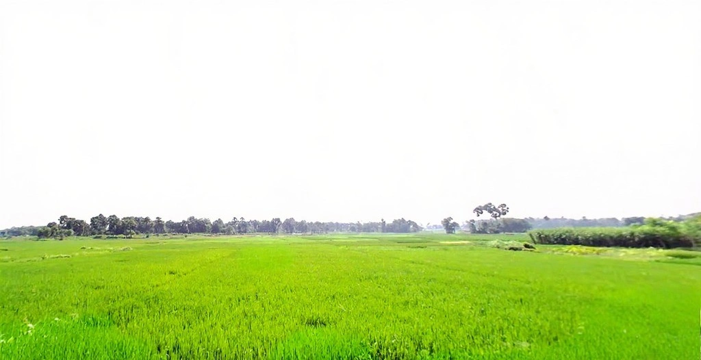 Jhirwa, Bihar, India