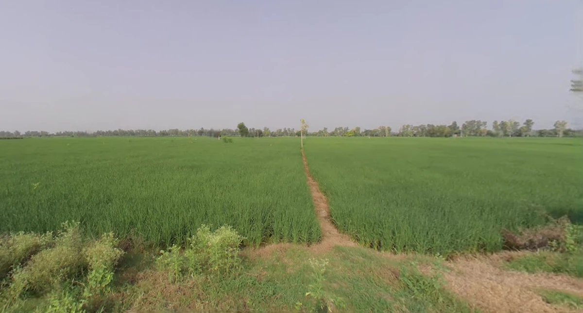 Khariberia, West Bengal 721635, India