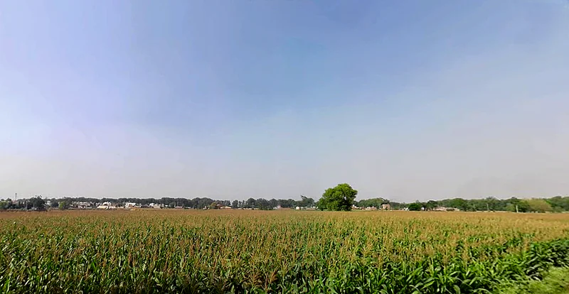 Thuhi, Punjab 147201, India preview 2