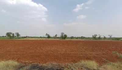 Somandepalle, Andhra Pradesh, India preview 2