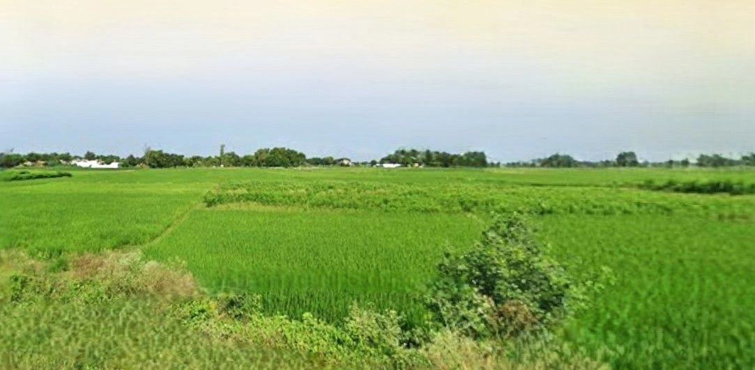 Chhuchhakwas, Haryana 124106, India