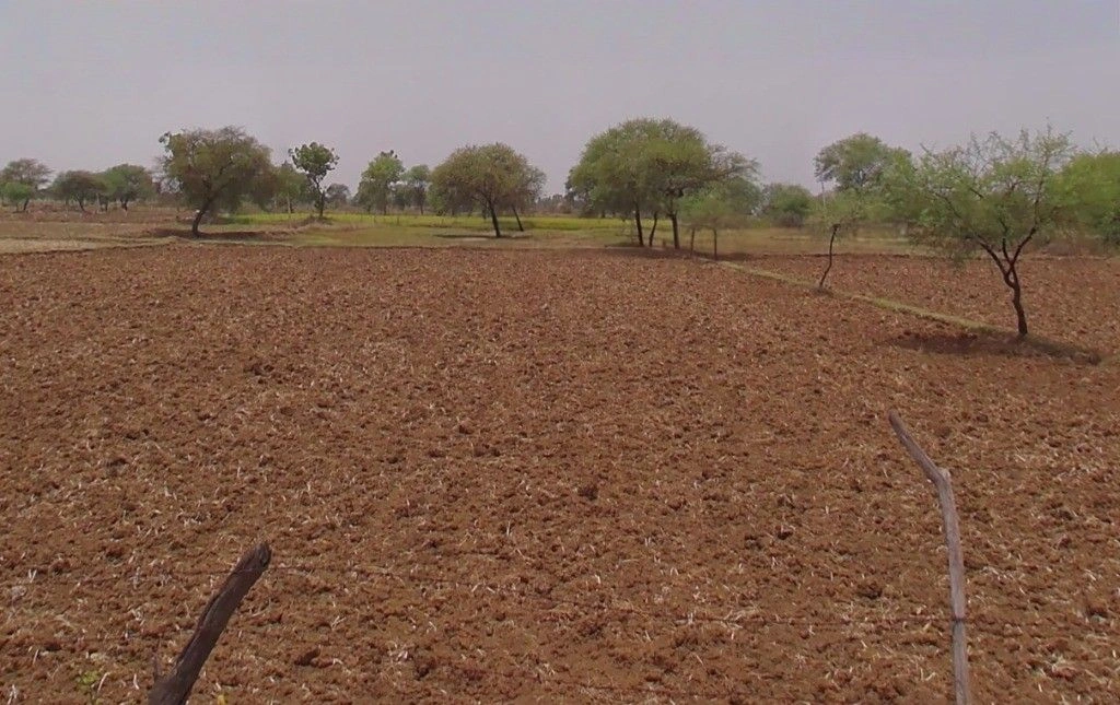 Bodagarh, Chhattisgarh 491885, India