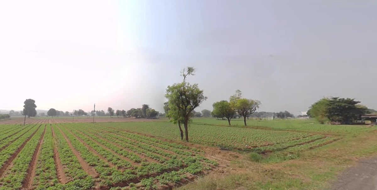 Shertha, Gujarat, India