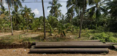 67, Chajeri puramb, Tanur, Kerala 676302, India preview 3