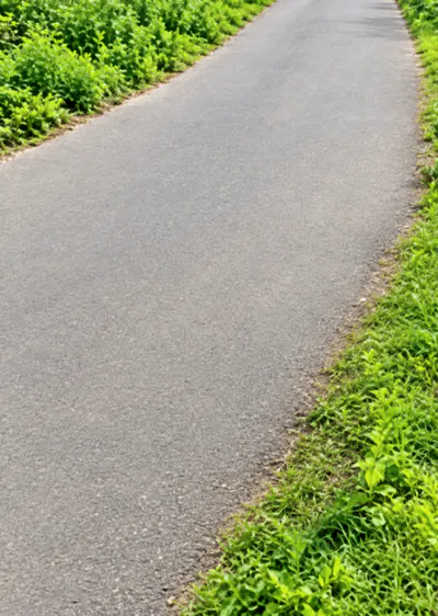 Sangat Kalan, Bathinda, Punjab 151401, India preview 2