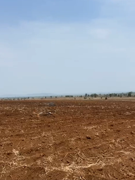 Santau, Madhya Pradesh, India