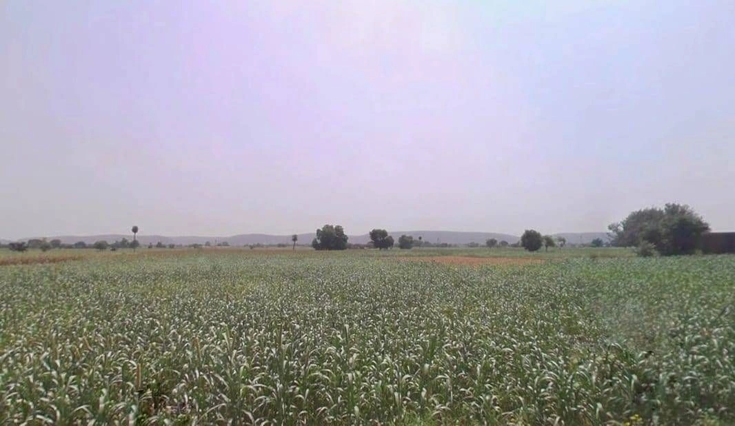 Firozpur Jhirka, Haryana 122104, India