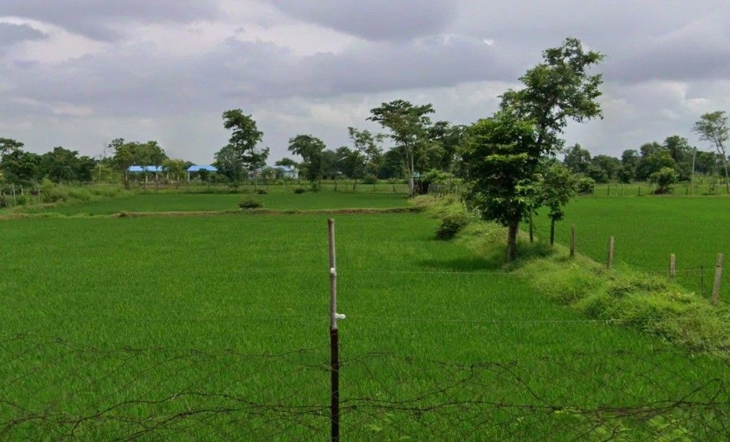 Kathiya, Chhattisgarh 491335, India preview 3