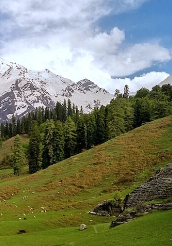 NH 707, Sirmaur, Shillai, Himachal Pradesh 173027, India
