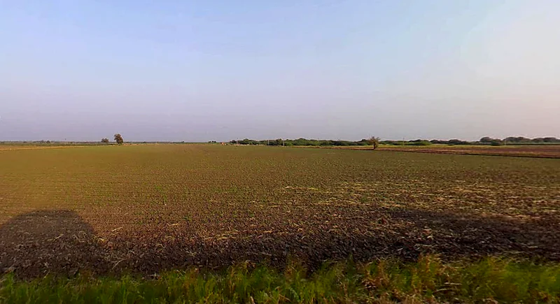 Dhanfuliya, Gujarat 362205, India preview 2