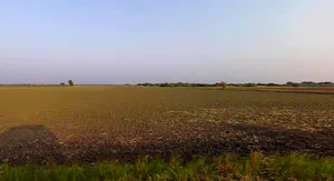 Dhanfuliya, Gujarat 362205, India preview 2