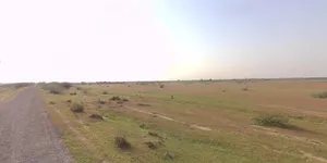 Dhari, Gujarat 365640, India preview 3