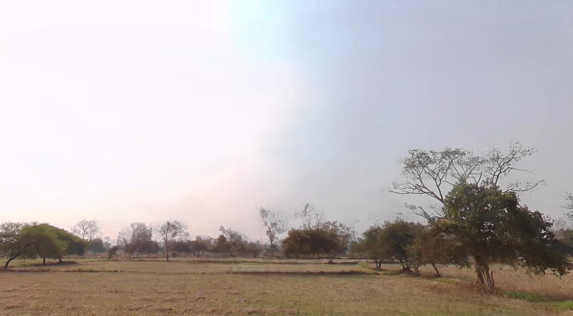 Sudhela, Chhattisgarh 493332, India