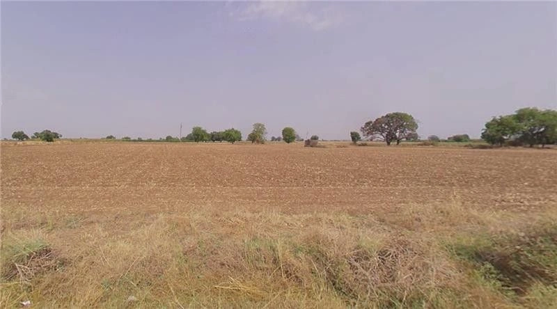 Shiroda, Maharashtra 416518, India