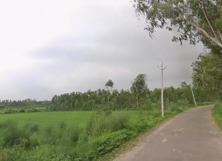 Badshahibagh, Uttar Pradesh 247122, India