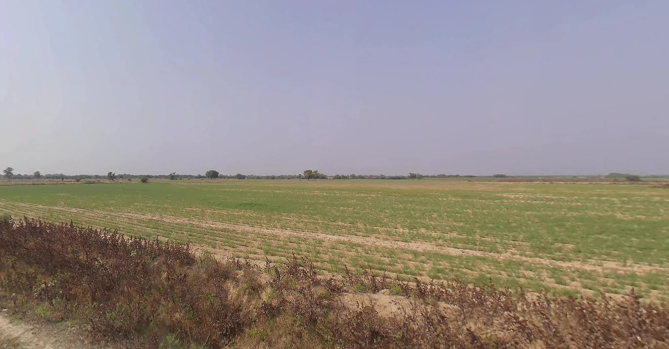 Budheli, Gujarat, India