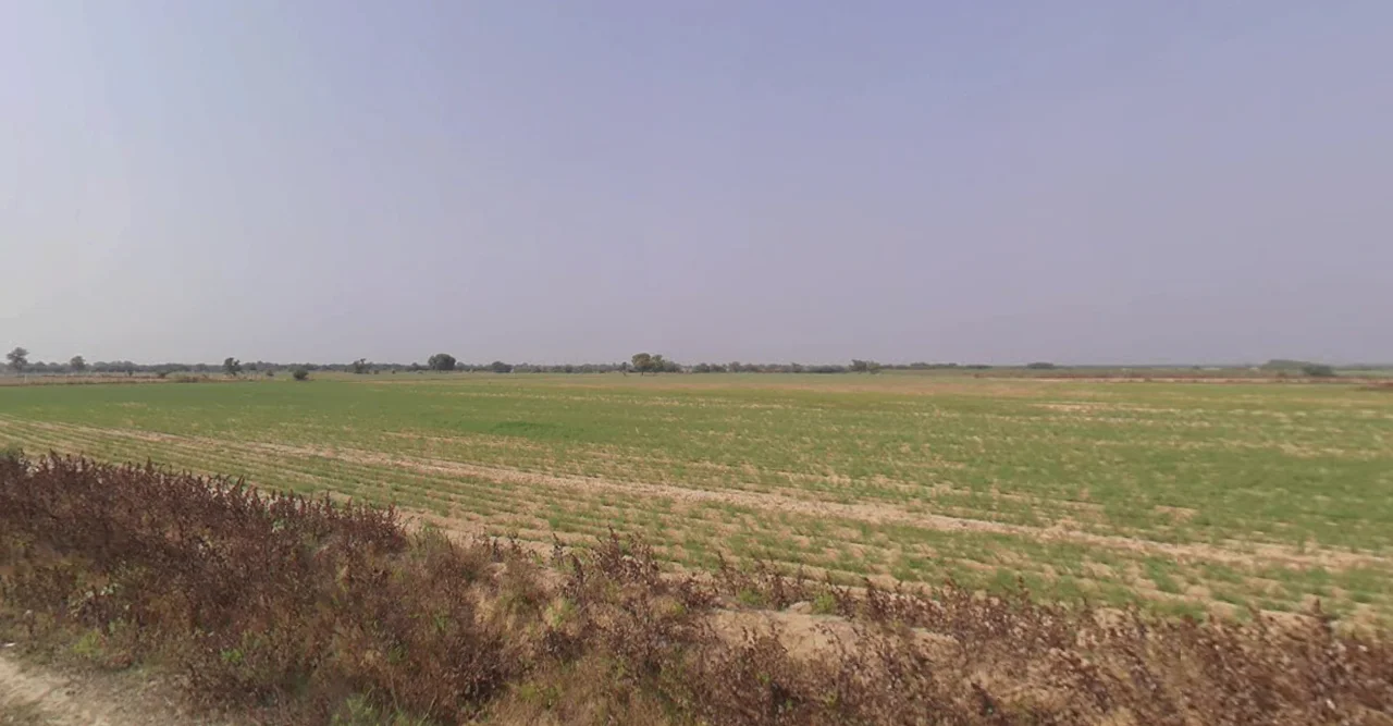 Budheli, Gujarat, India preview 3