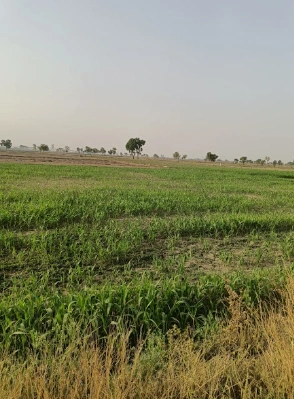 Siyana, Uttar Pradesh 203412, India preview 2