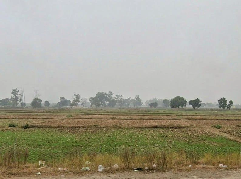 XM2P+JFJ, Sohagi, Madhya Pradesh 486226, India