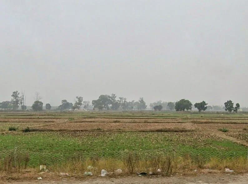 XM2P+JFJ, Sohagi, Madhya Pradesh 486226, India preview 3