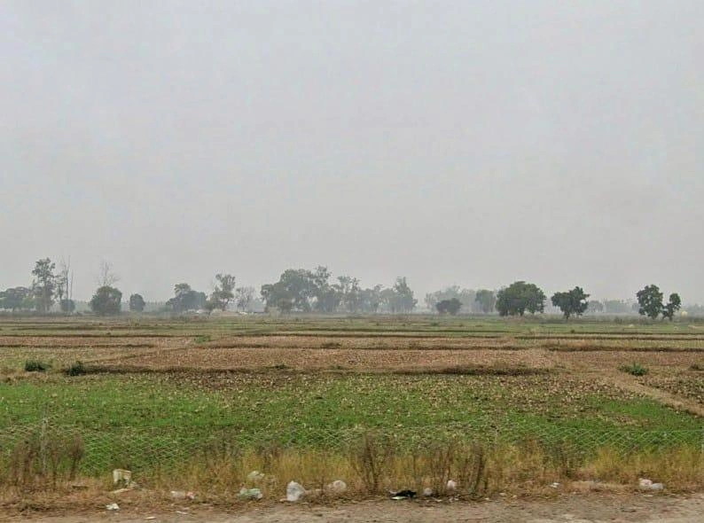 XM2P+JFJ, Sohagi, Madhya Pradesh 486226, India