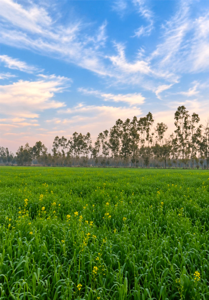 Kunjpur, Unnao, Uttar Pradesh, India - Photo 3