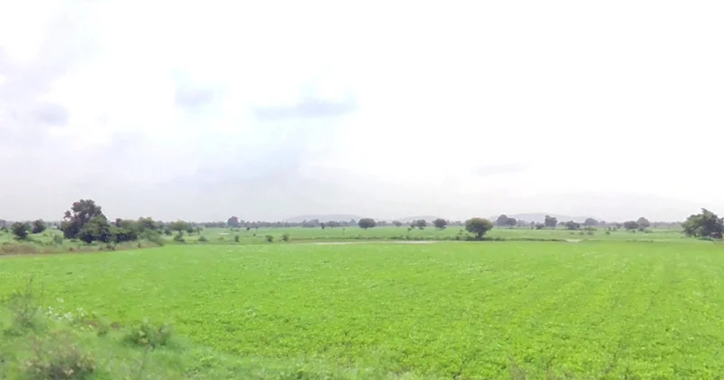 Sohawal, Madhya Pradesh, India preview 3