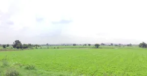 Sohawal, Madhya Pradesh, India preview 3