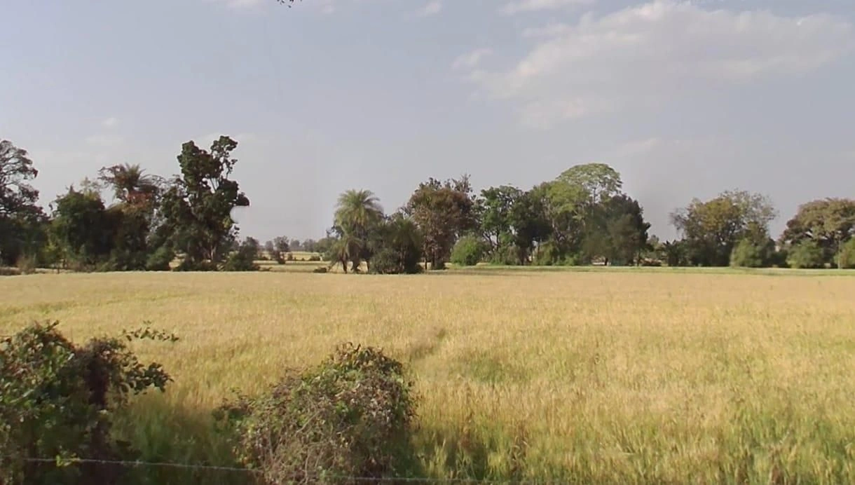 Kurawar, Madhya Pradesh 465667, India