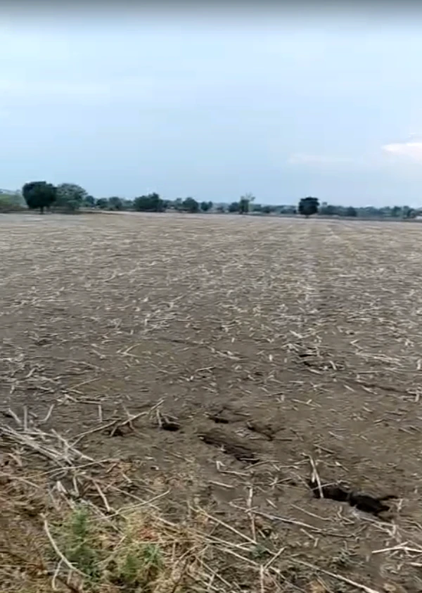 8JMH+JF Dandraua, Madhya Pradesh, India