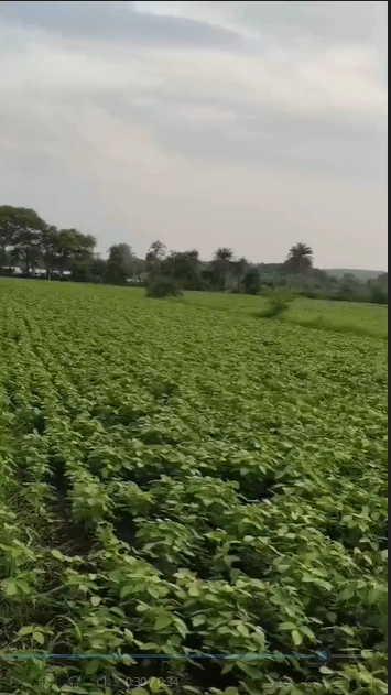 Rampuriya, Ratlam, Madhya Pradesh, India