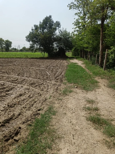 Moranwali, Faridkot, Punjab 151213, India preview 2