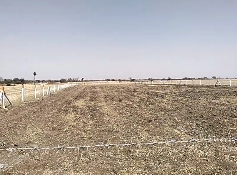 8WPF+MG Chonsala, Madhya Pradesh, India