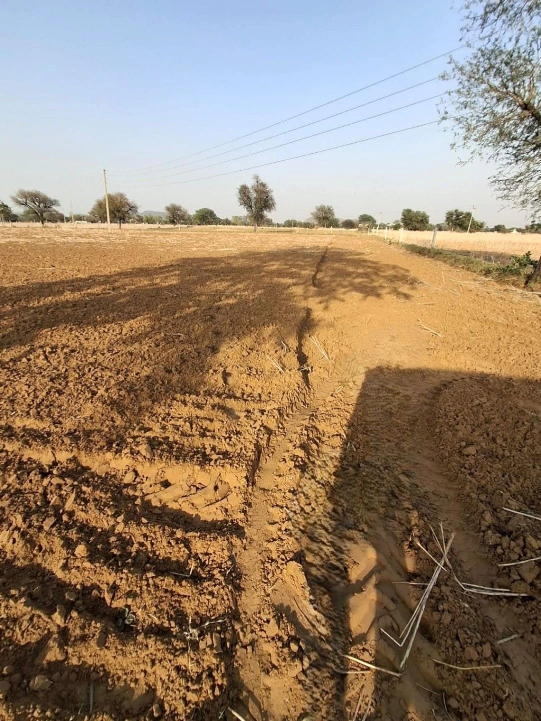 Bhalkhi Majra, Haryana 123102, India