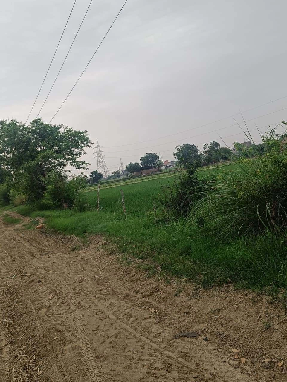 Bukharari, Mathura, Uttar Pradesh, India