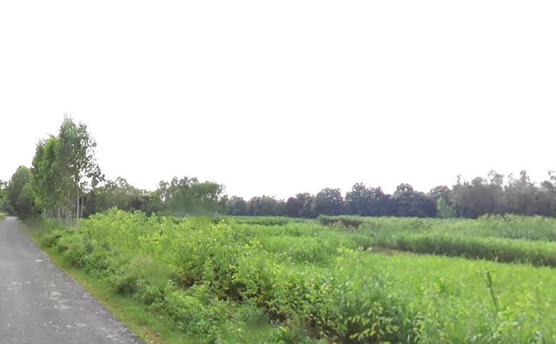 Behat, Uttar Pradesh 247121, India