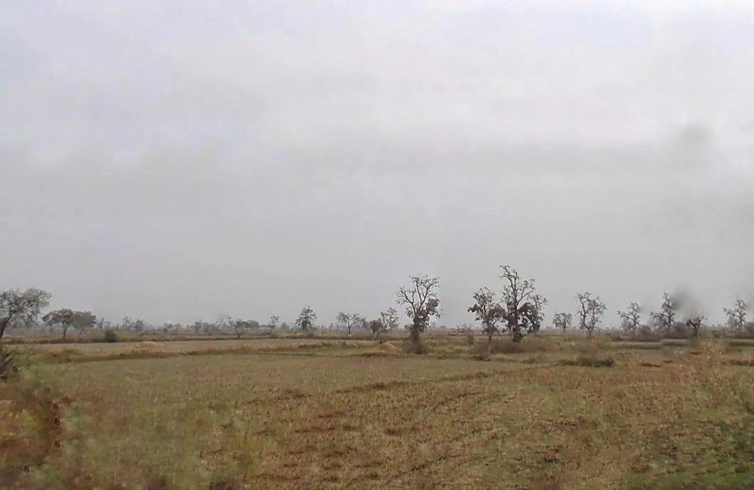 MVV6+9C Gaurella, Chhattisgarh, India