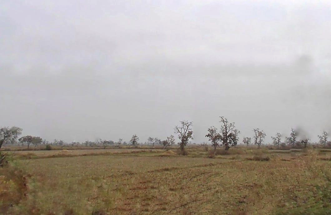 MVV6+9C Gaurella, Chhattisgarh, India