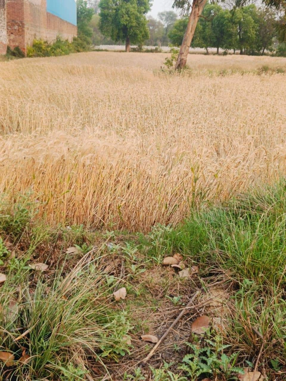 Gharwari, Rajasthan 321201, India preview 3