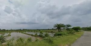 Durlavpur, West Bengal 722133, India preview 2