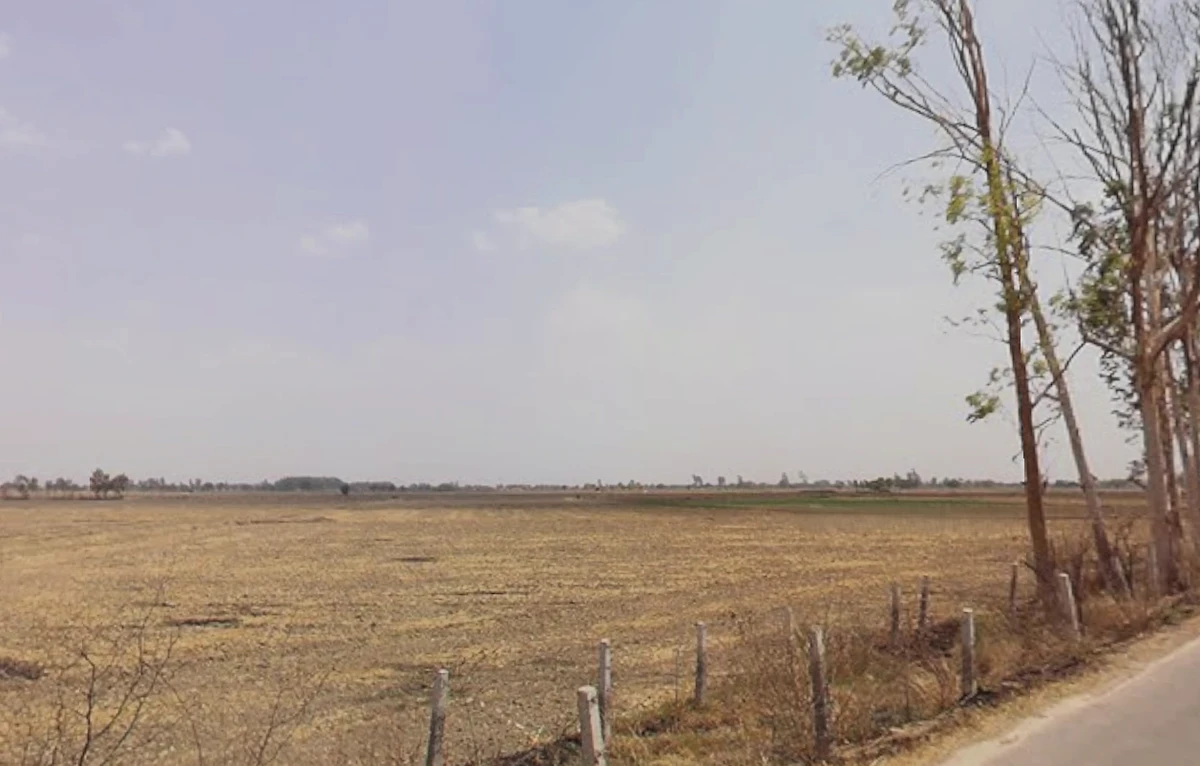 Bass, Haryana 125042, India