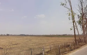 Bass, Haryana 125042, India preview 2