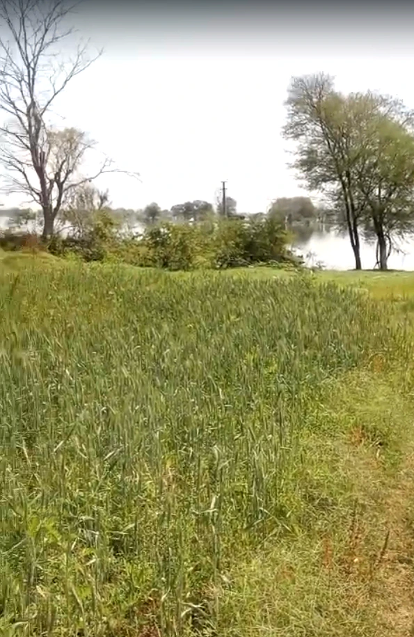 P323+MW2, Vallabhnagar, Banjari, Rajasthan 313601, India